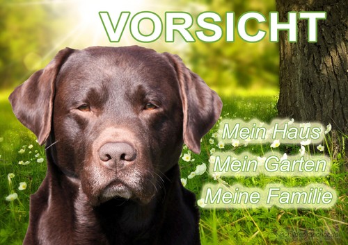 Warnschild labrador - -,