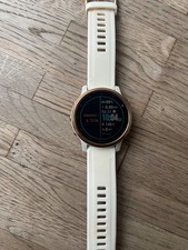 Garmin Fenix 6S Pro