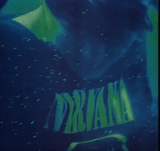 NIRVANA - Nevermind Live + rare Picture LP / Fan - Club - Edition