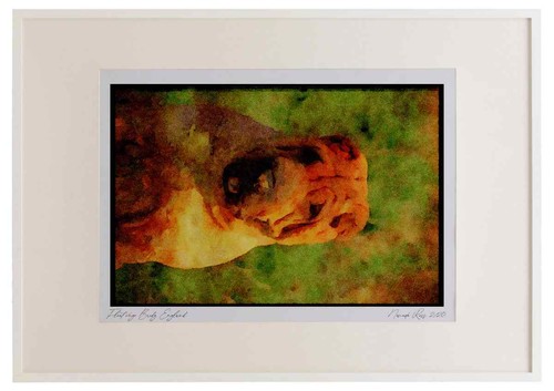415081 sharpei aquarell - 415081,