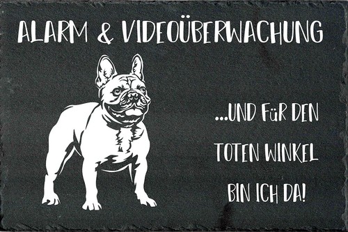 Französische bulldogge - franzÖsische,  bulldogge