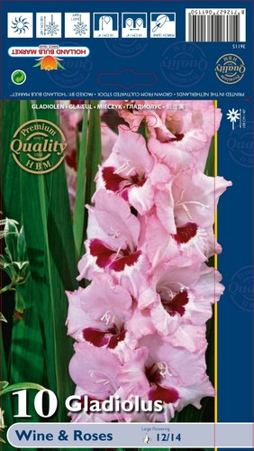 Gladiolus - @//(◕‿◕)\@,