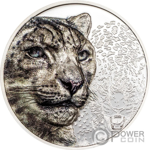 Snow leopard wild mongolia - wild,