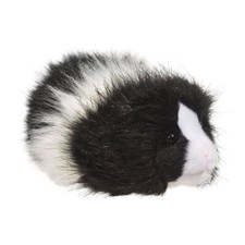 Meerschweinchen angora - meerschweinchen, "angora"