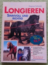 Longieren: Sinnvoll und