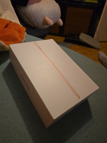 Apple ipad mini 2019 - ipad,