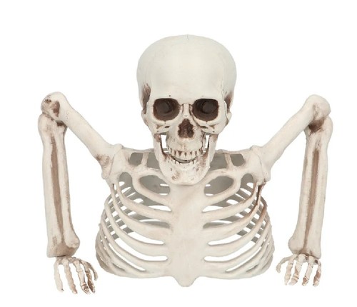 Halloween horror skelett deko - halloween,
