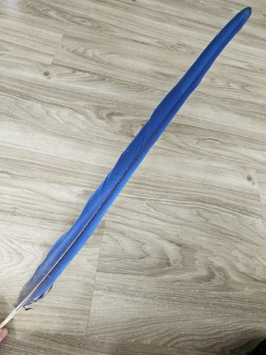 Feder - 61,5,