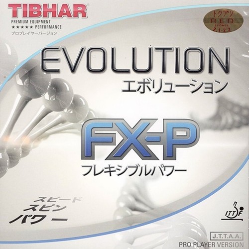 Tibhar evolution p - evolution, fx-p