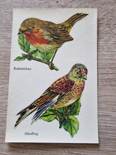 ddr abziehbilder schiebebilder  vögel