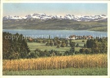 Meilen Hohenegg See Alpen