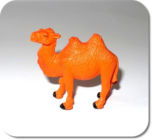 Miniatur kamel neu - miniatur,