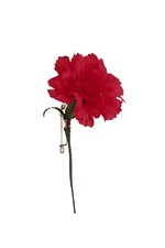 rote Nelke mit Anstecknadel