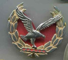 Flug Beobachter Abzeichen   (E380)