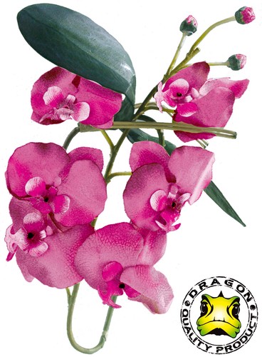 Orchideenzweig rot 80cm - orchideenzweig,