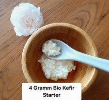 4g Bio Kefir Knolle/Kefirpilz