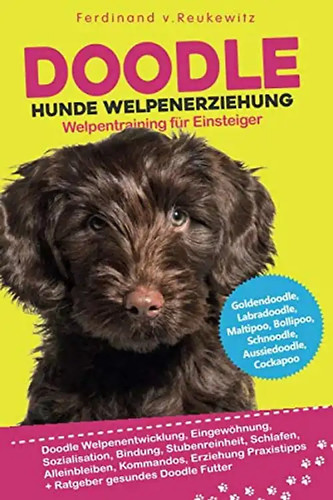 Doodle hunde welpenerziehung - doodle,
