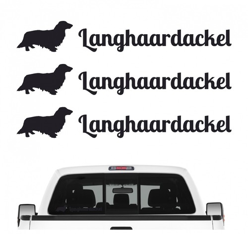 Langhaardackel dackel - langhaardackel,
