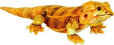 Bartagame Plüschtier 50cm