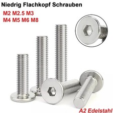 M2~M8 Niedrig Flachkopf