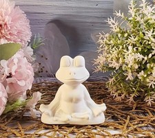 Frosch Meditation aus