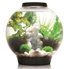 Biorb nano aquarium - biorb, nano-aquarium