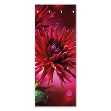 banjado Wandgarderobe Echtglas 50x125cm Garderobe Glas mit 7 Haken Rote Dahlien