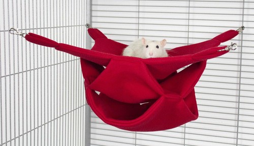 Rodents residence drei ebenen - drei,