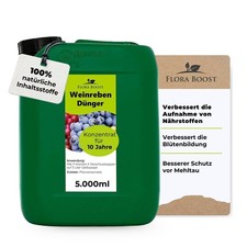 Weinreben weintrauben reben - weinreben,