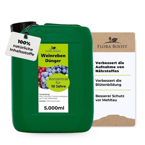 Weinreben weintrauben reben - weintrauben,