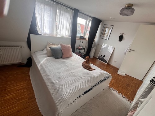 Ikea malm bettgestell 140x200 - bettgestell,