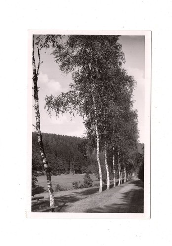 Ansichtskarte altensteig im - ak,