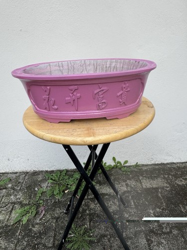 Bonsai prebonsai zement - bonsai/,
