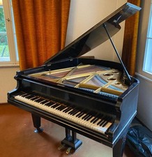 Flügel Gebr. Neumeyer, 1905, Äußeres beschädigt, Innenleben für das Alter ok