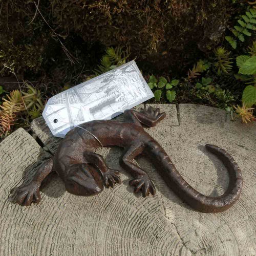 Salamander gecko echse - salamander,