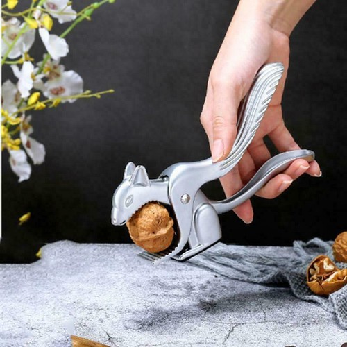 Eichhörnchen nussknacker - eichhörnchen,