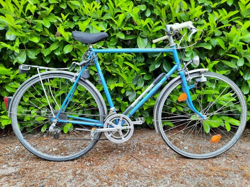 Winora modell sir zoll - modell,