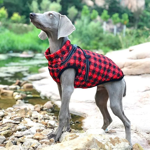Warme hundemantel hundejacke - hundemantel,