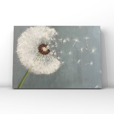 “Dandelion” das Bild