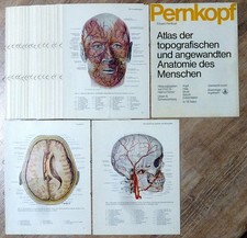 Pernkopf Atlas der