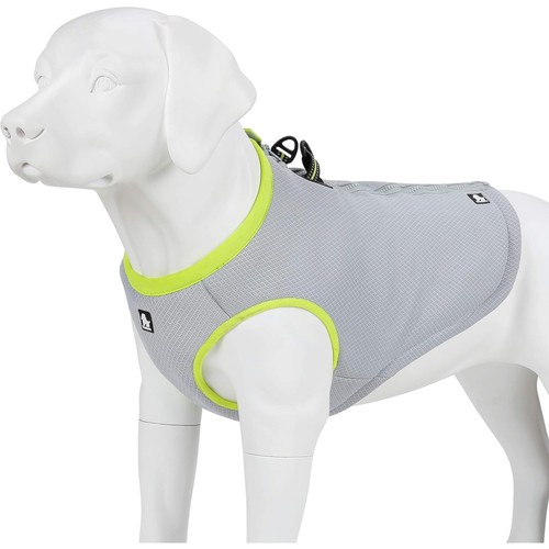 Hund kühlweste - hund,