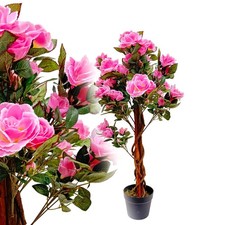 Rosenbaum rosa - rosenbaum, cm
