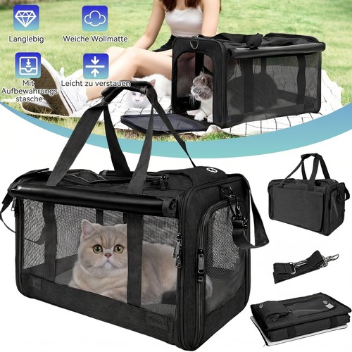 Transportbox