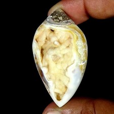 179.70Cts Natürlich Fossil