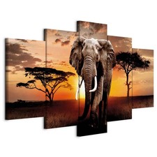 AFRIKA ELEFANT NATUR TIERE
