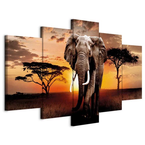 Afrika elefant natur - afrika,