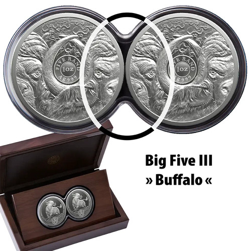 Silbermünze oz big five - x,