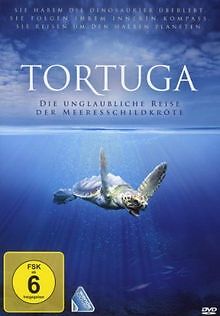 Tortuga die unglaubliche - -,