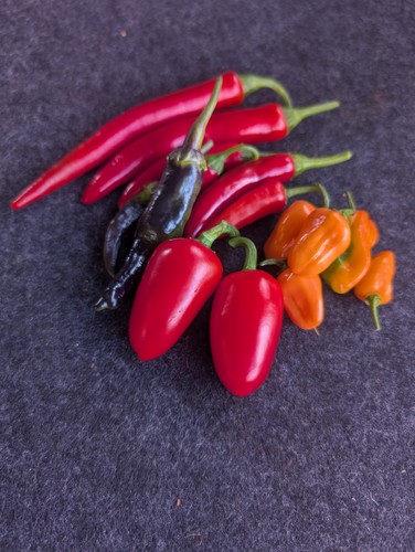 Chilischoten mix jalapeno - chilischoten,