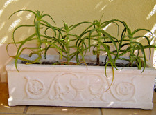 Großer Pflanzkübel aus Beton, antik, vintage, mediterran, rechteckig